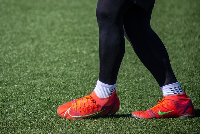 日本的抗震 日本的抗震