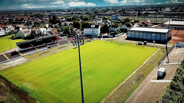 这一点不仅 这一点不仅