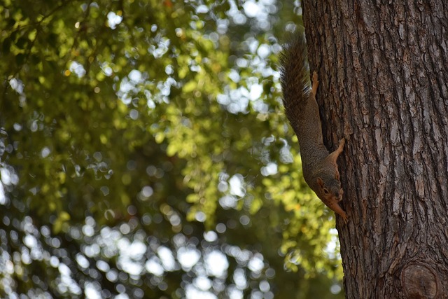 竞争力的秘 竞争力的秘