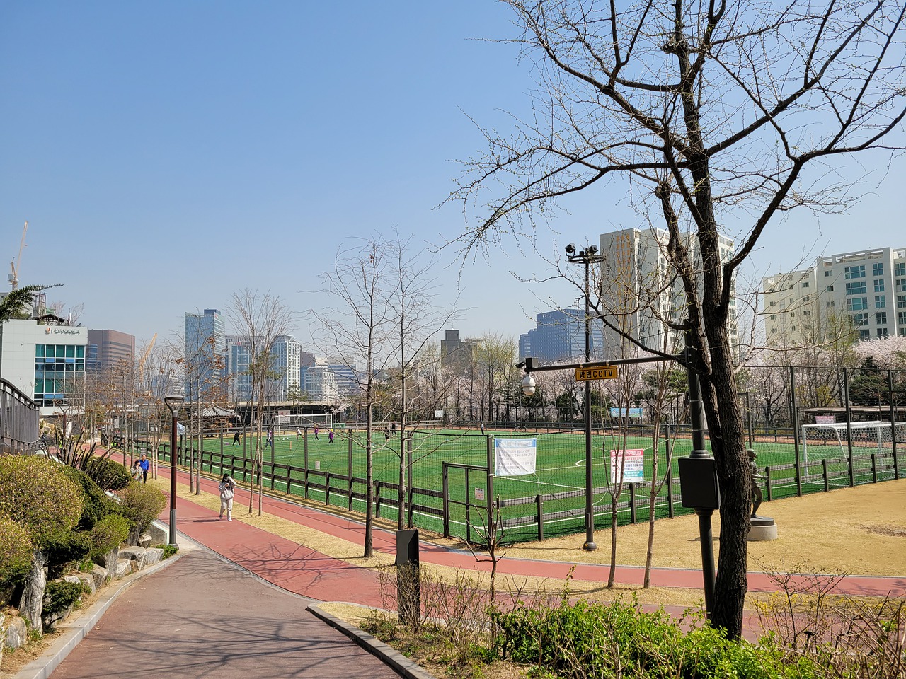 德的球迷来 德的球迷来