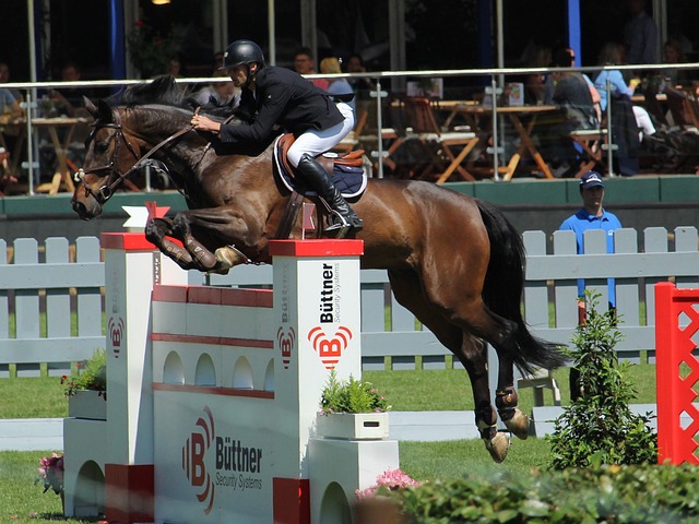 仅是一场单 仅是一场单