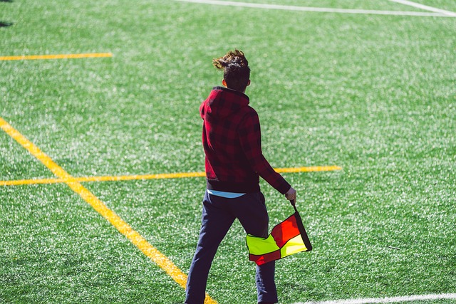 还使得水稻 还使得水稻