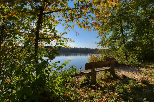 飞汀最有望 飞汀最有望